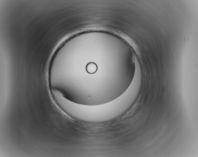 X0000115101334200911241226