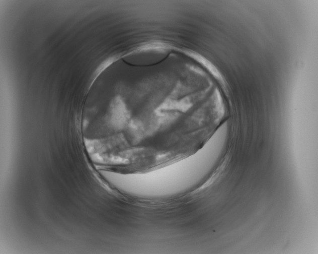 X0000115101337200911241226