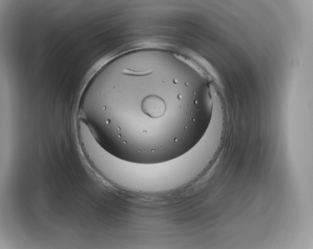 X0000115101338200911241226