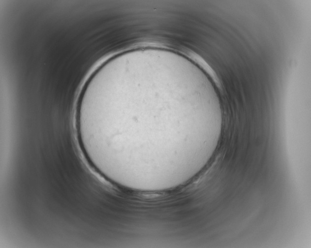 X0000115101339200911241226