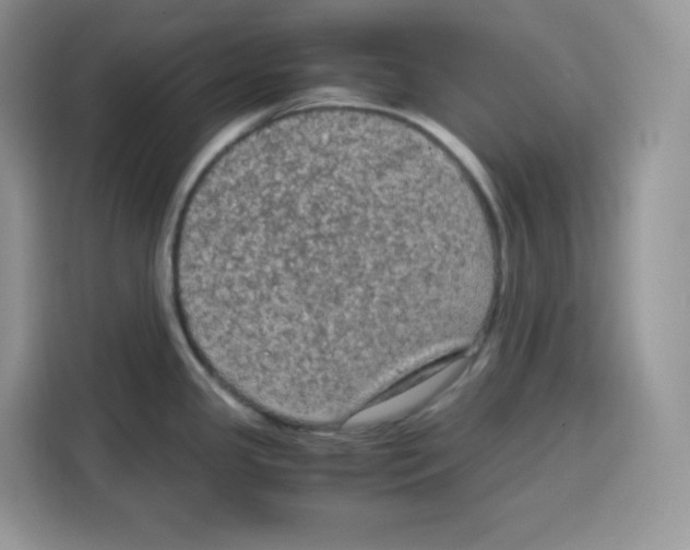 X0000115101341200911241226