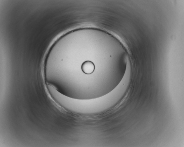 X0000115101342200911241226