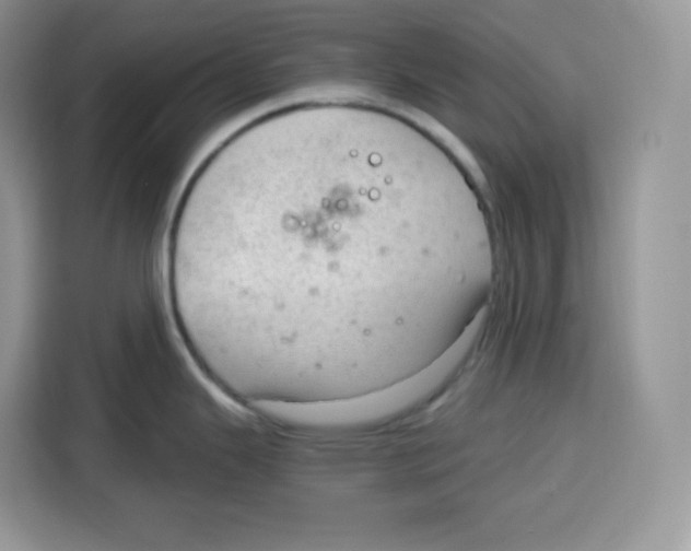 X0000115101343200911241226