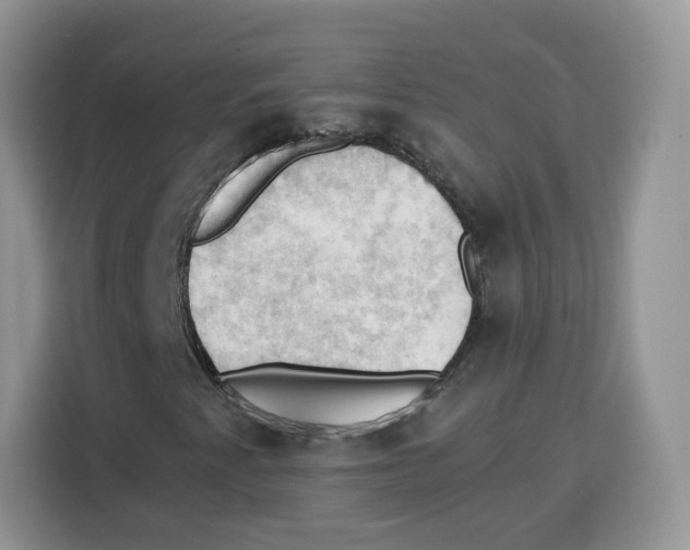 X0000115101345200911241225