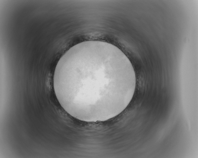 X0000115101346200911241225