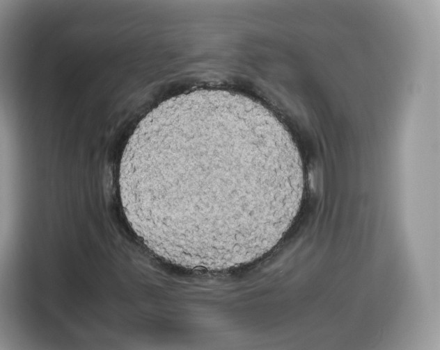 X0000115101347200911241225