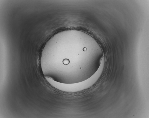 X0000115101348200911241225