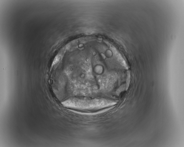 X0000115101349200911241225