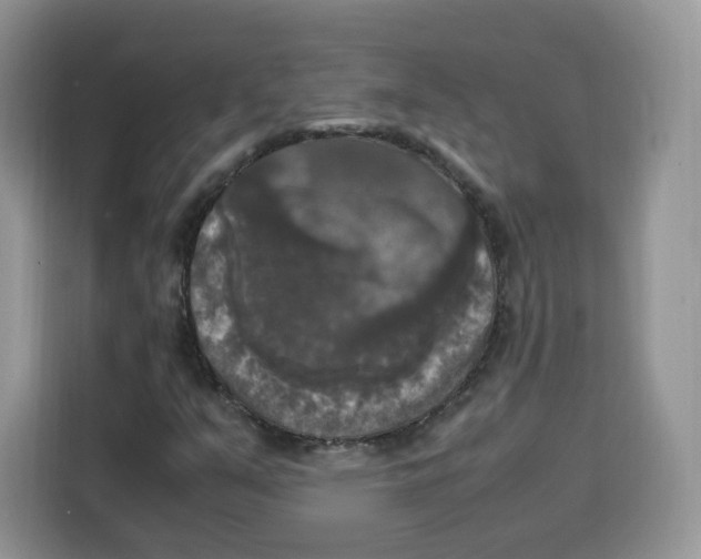 X0000115101351200911241225