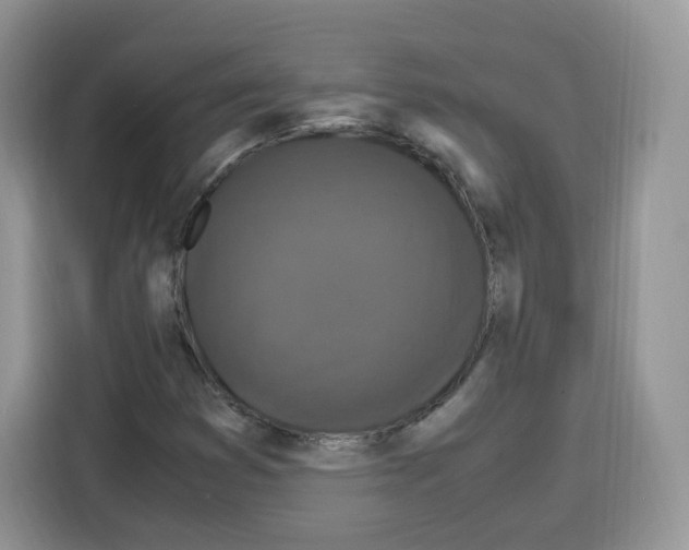 X0000115101353200911241225