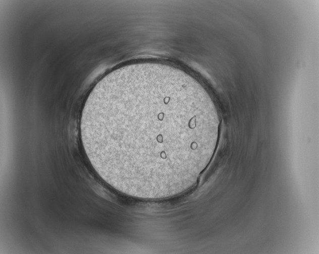 X0000115101355200911241225