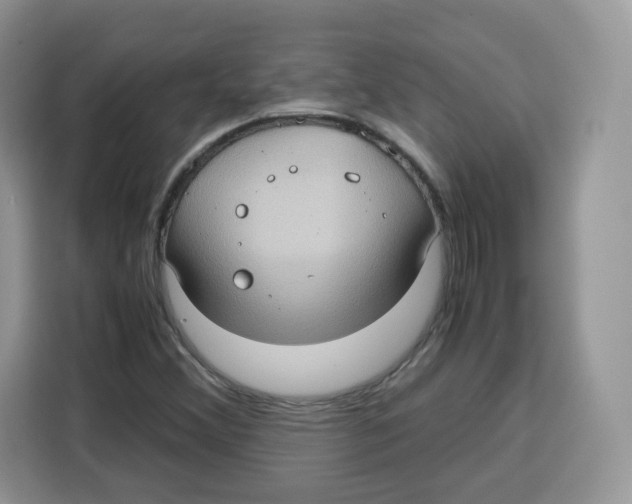 X0000115101356200911241225