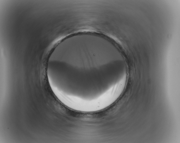 X0000115101359200911241225