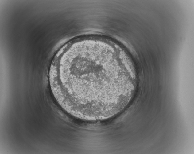 X0000115101363200911241225