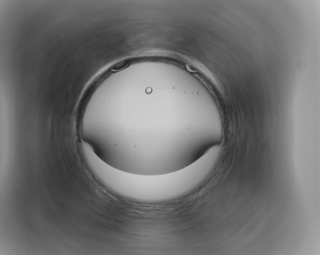 X0000115101364200911241225