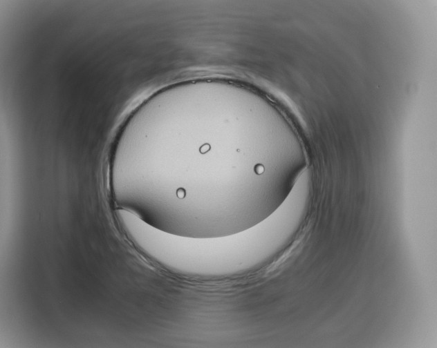 X0000115101365200911241225