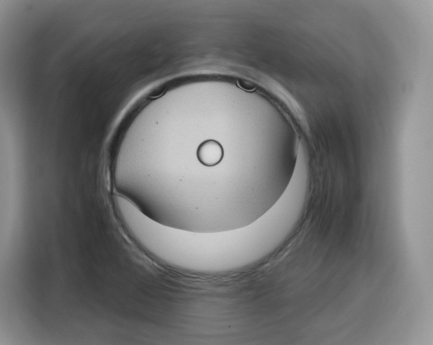 X0000115101368200911241225