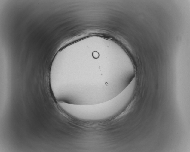 X0000115101369200911241225