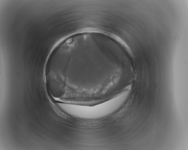 X0000115101372200911241225