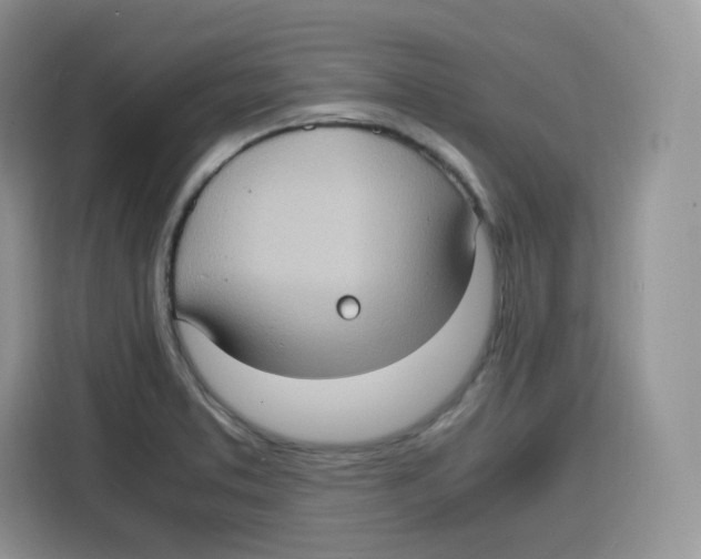 X0000115101373200911241225