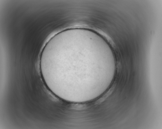 X0000115101374200911241225