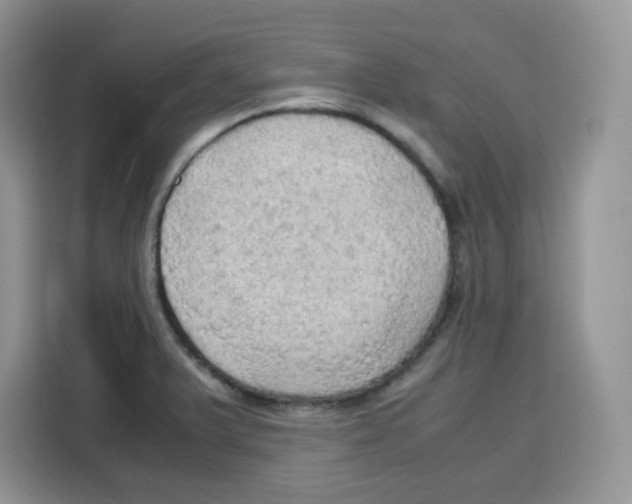 X0000115101375200911241225