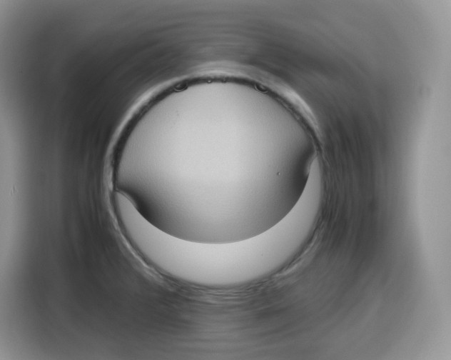 X0000115101376200911241225