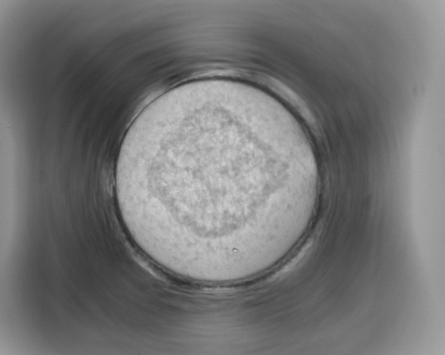 X0000115101377200911241225