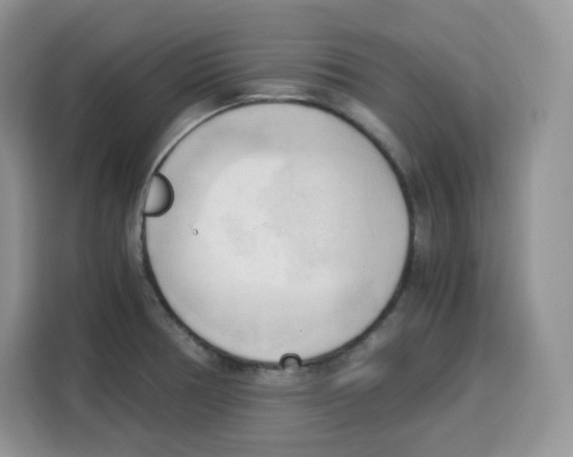 X0000115101378200911241225