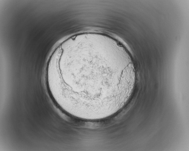 X0000115101379200911241225