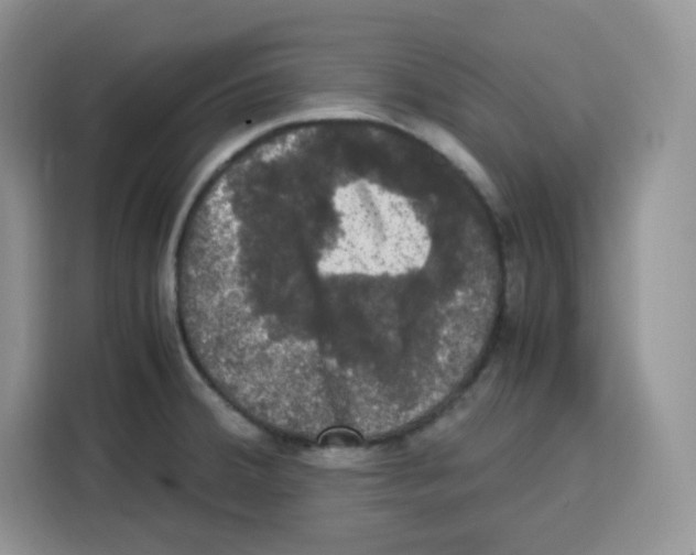 X0000115101380200911241225