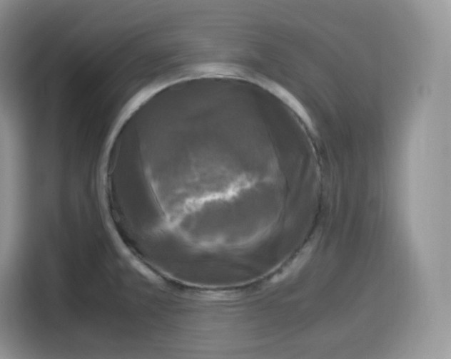 X0000115101381200911241225