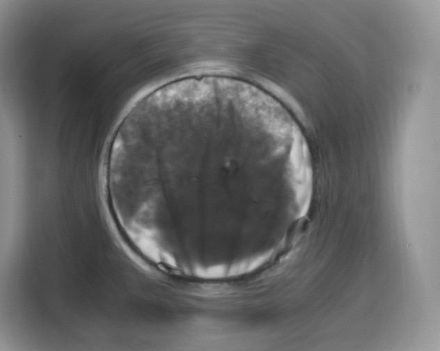 X0000115101383200911241225