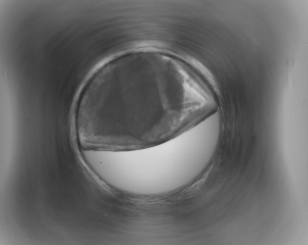 X0000115101384200911241225