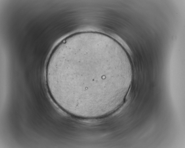 X0000115101388200911241225