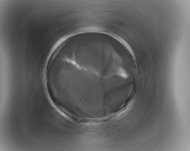 X0000115101389200911241225