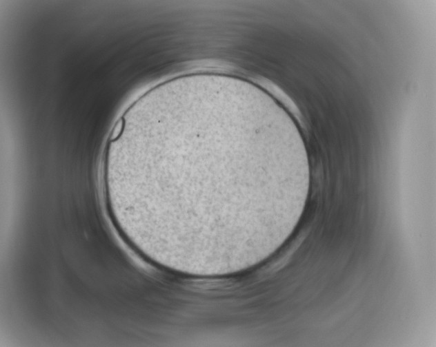 X0000115101391200911241225