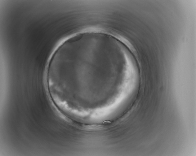 X0000115101392200911241225