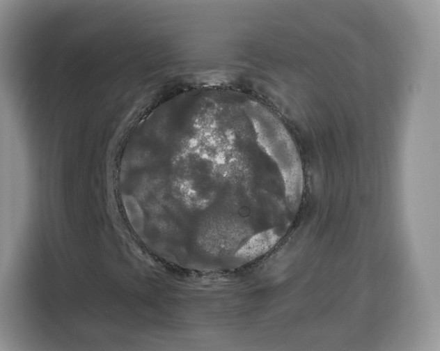 X0000115101393200911241224