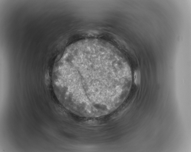 X0000115101395200911241224