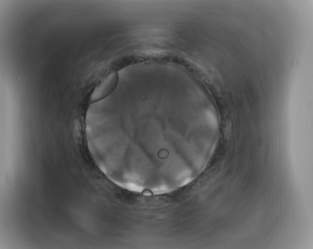 X0000115101397200911241224