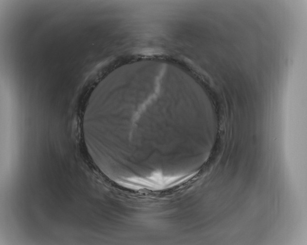 X0000115101398200911241224