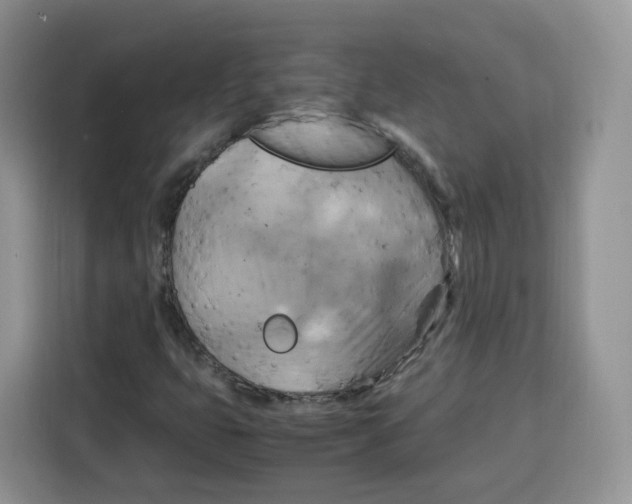 X0000115101399200911241224