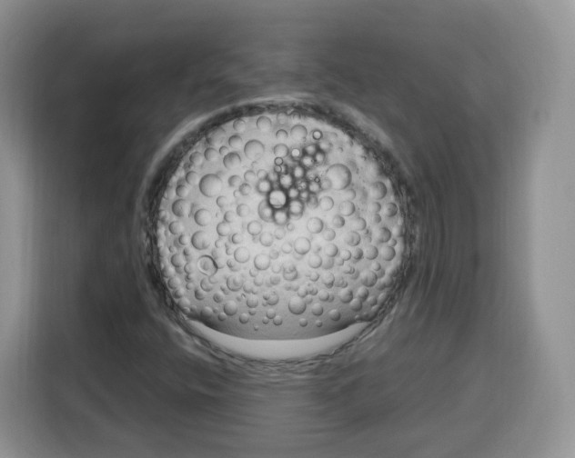 X0000115101400200911241224