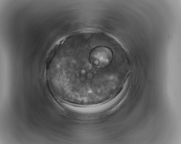 X0000115101402200911241224