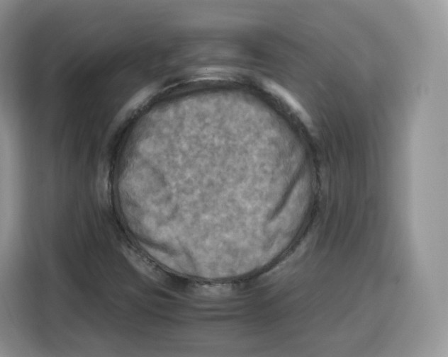 X0000115101403200911241224