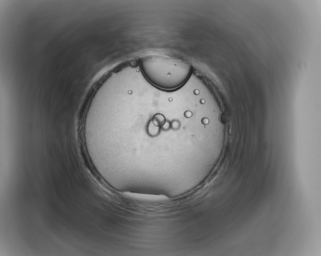 X0000115101404200911241224