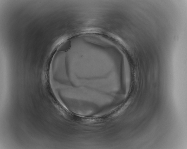 X0000115101405200911241224