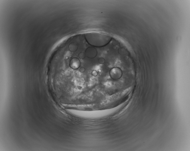 X0000115101406200911241224