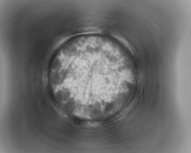 X0000115101407200911241224